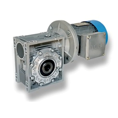 Worm Gear Motor