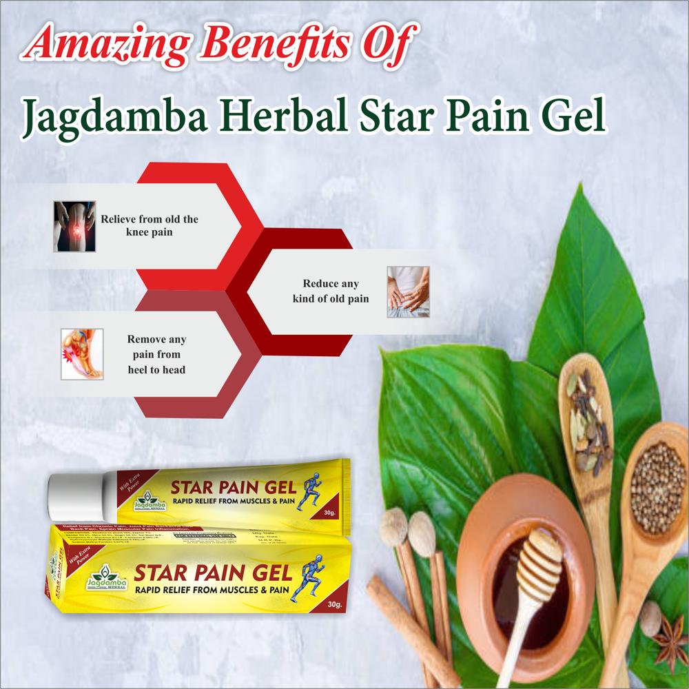 Star Pain Gel - Ayurvedic Formula for Fast-Acting Relief | Non-Greasy Herbal Infused with Menthol Camphor Gandhapura Oil Eucalyptus Oil Clove Oil Suitable for Adults