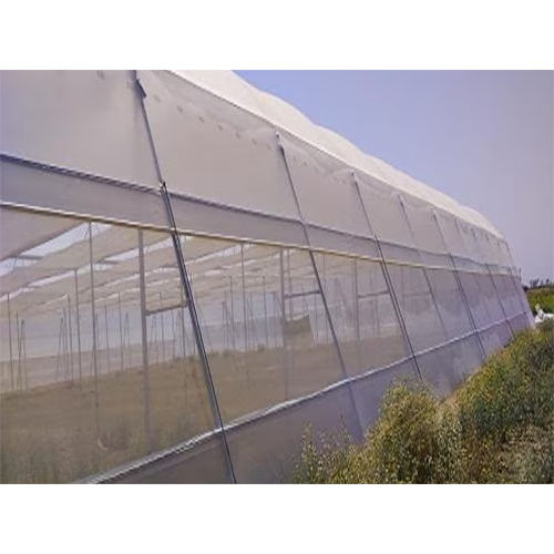 Green House Anti Insect Net - Greenhouse Size: Large