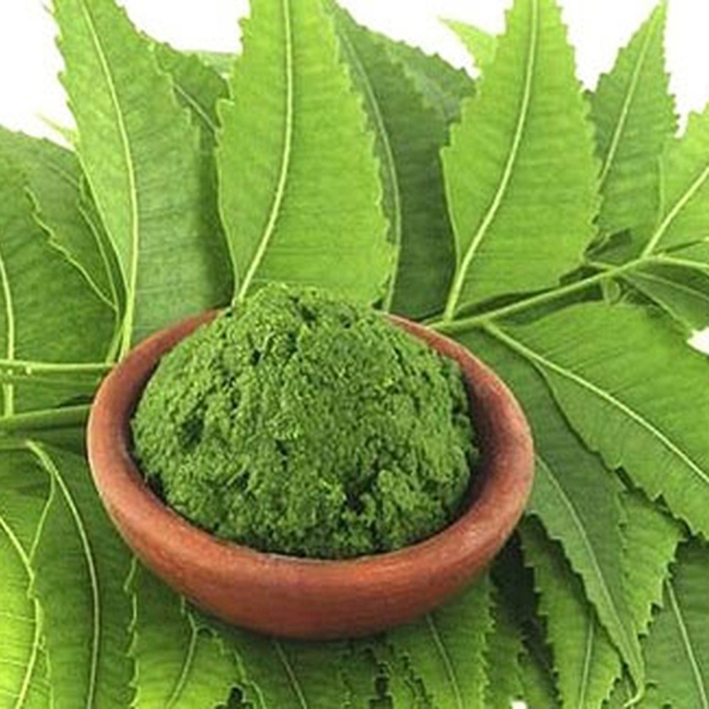 Neem Powder - Herbal Blend For Skincare & Pest Control, Versatile Usage For All Skin Types - 6-12 Months Shelf Life