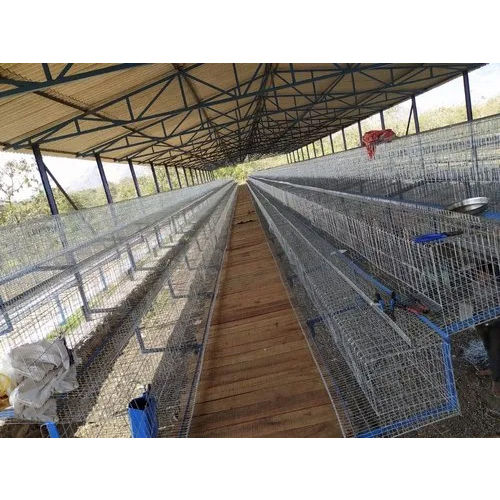 Poultry A Type California Chicken Cage - Feature: Easy To Use