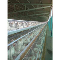 Layer Battery Cages Poultry Equipment