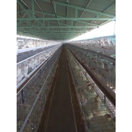 Steel Poultry Cages - Color: Gray