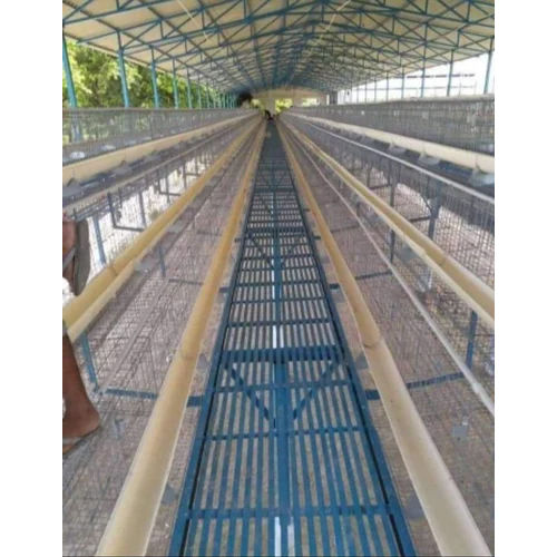 Steel Automatic Poultry Cage System - Feature: High Quality