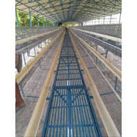 Steel Automatic Poultry Cage System - Steel Material, 20x15x17 Inches | Automatic Feeding And Watering, Optimal Ventilation And Sanitation
