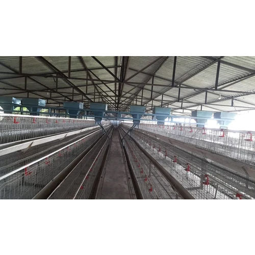 Poultry Feed Trolley System - Feature: High Quality