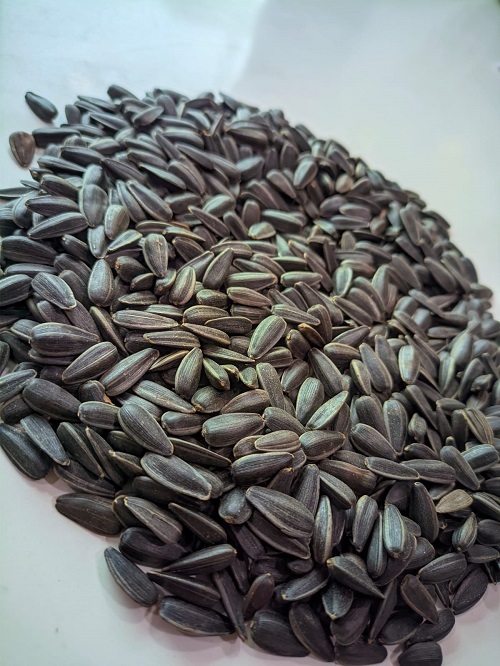 Sunflower Seeds