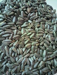 Sunflower Seeds