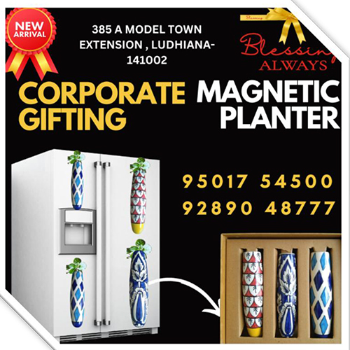 Magnetic Planters Trio