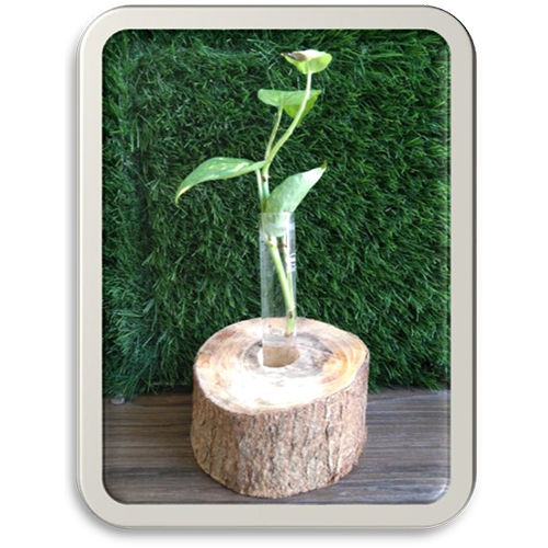 Round Wooden Planter with Test Tube