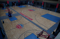 Non-Slip Colorful Customized Printed Vinyl Basketball Gym