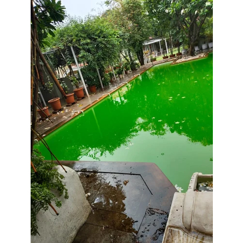 Swimming Pool Filtration Services