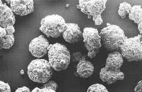 Spray Dried Lactose - Grade: Industrial Grade