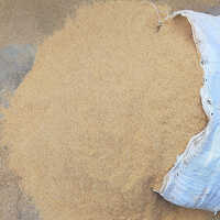 Rice Huller Bran (Horse Feed) - Ash %: A   8%