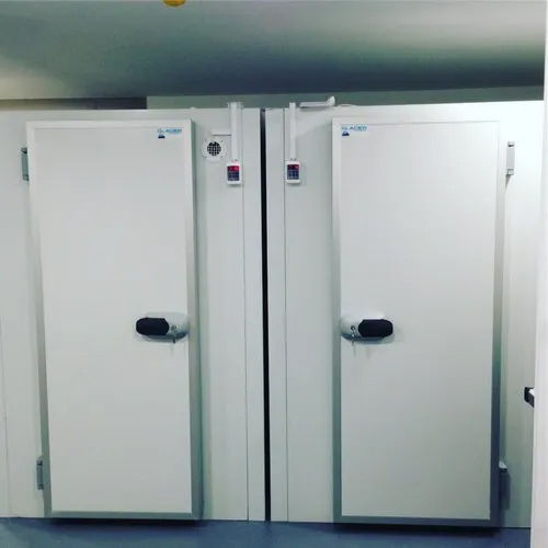 Cold Storage Swing Door