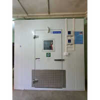 Blue Star Banana Ripening Chamber - Capacity: 1 Ton/day