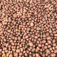 Lady Rosetta Potato - Moisture (%): Nil