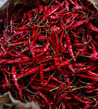 Teja Red Chilli