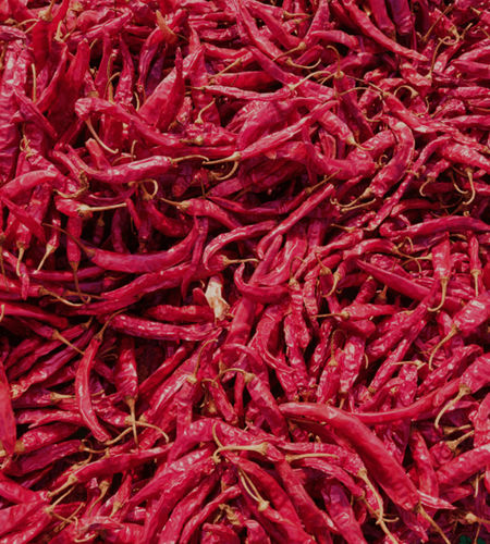 341 Red Chilli - Grade: Food Grade