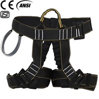 I Ssafe Climbing Harness Isf-171 - Color: As Per Availability