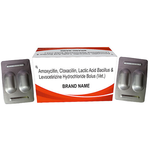 Amoxycillin Cloxacillin Lactic Acid Bacillus And Levocetirizine Hydrochloride Bolus