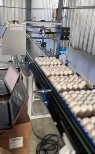 Egg Printing Conveyor