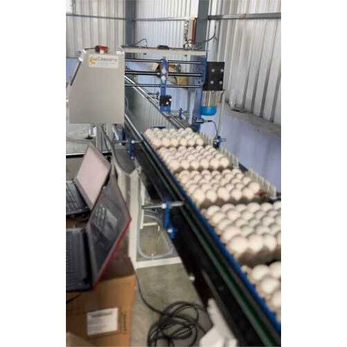 Egg Printing Conveyor