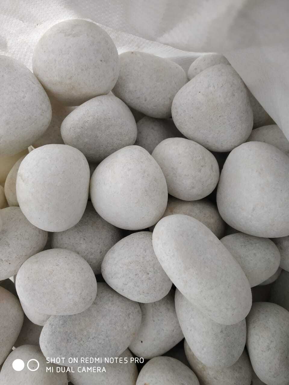 High tumble supper white Natural Pebble Stones for Garden Decoration and Landscaping