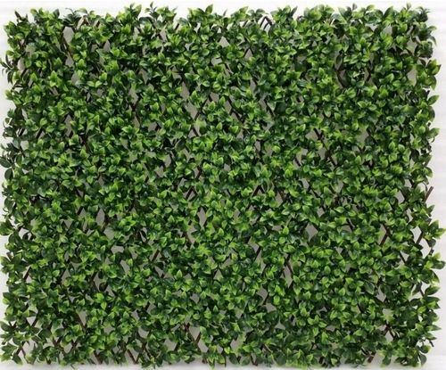 Artificial Grass and Vertical Green Wall