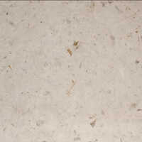 Water Hyacinth Seed Paper - 22x30 Inches, White | Water-based Coating, Anti-curl & Moisture-proof, Recycled Material