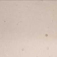 Tomato Seed Paper