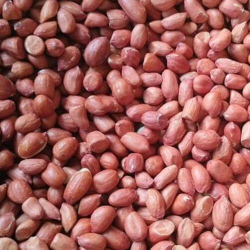 Bold Peanut