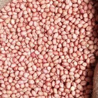 Java Raw Peanut - Broken (%): 1%