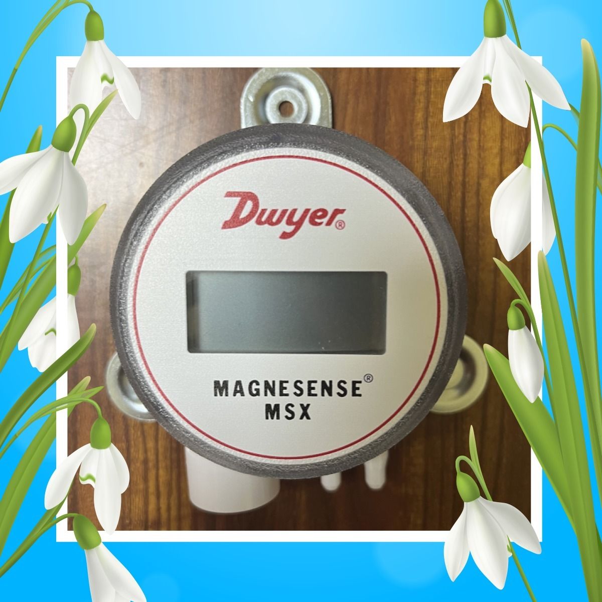 DWYER MSX-W22-IN-LCD Differential Pressure Transmitter