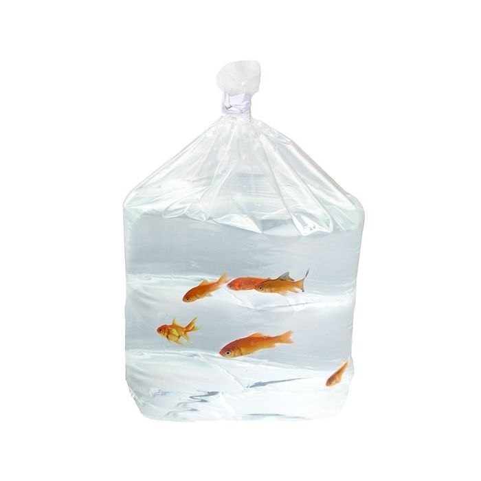 Polythene Liner Bags
