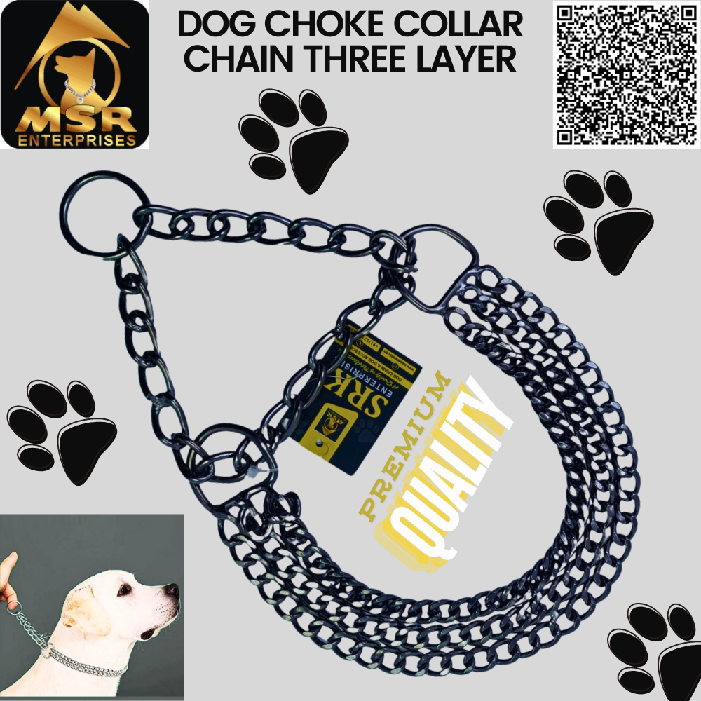 Dog Chain Color Choke Collar & Black
