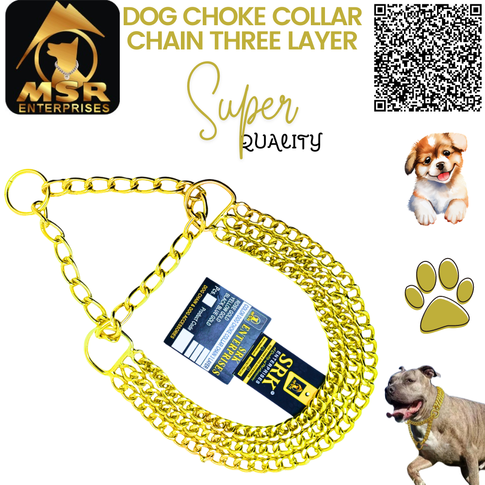 Dog Color Choke Collar Chain 3 Layer with Yellow Gold Plating