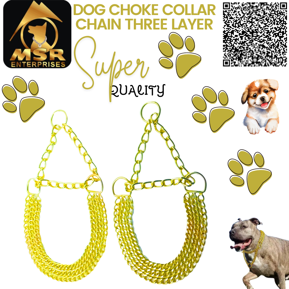 Dog Color Choke Collar Chain 3 Layer with Yellow Gold Plating