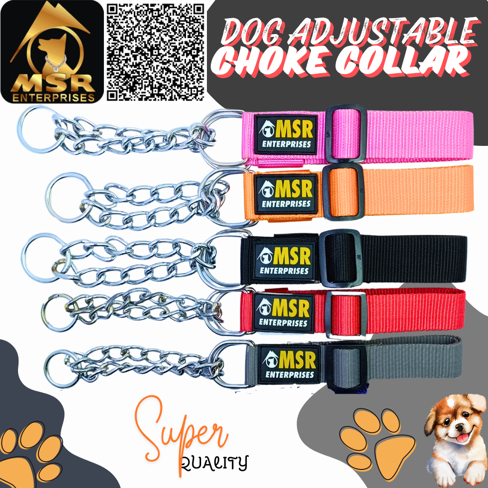 Dog Adjustable Choke Collar (PP / NYLON)