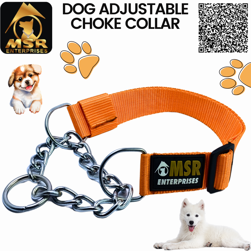 Dog Adjustable Choke Collar (PP / NYLON)