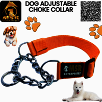 Dog Adjustable Choke Collar (PP / NYLON)