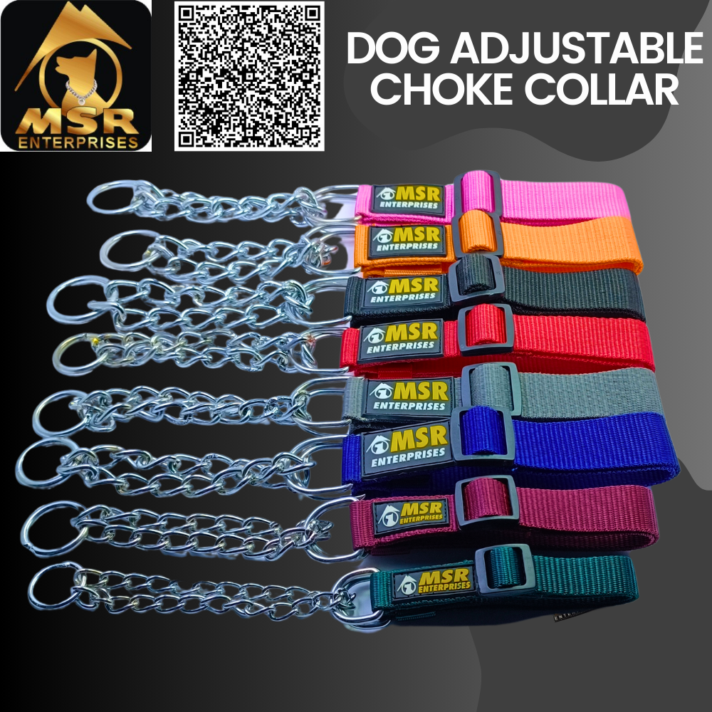 Dog Adjustable Choke Collar (PP / NYLON)