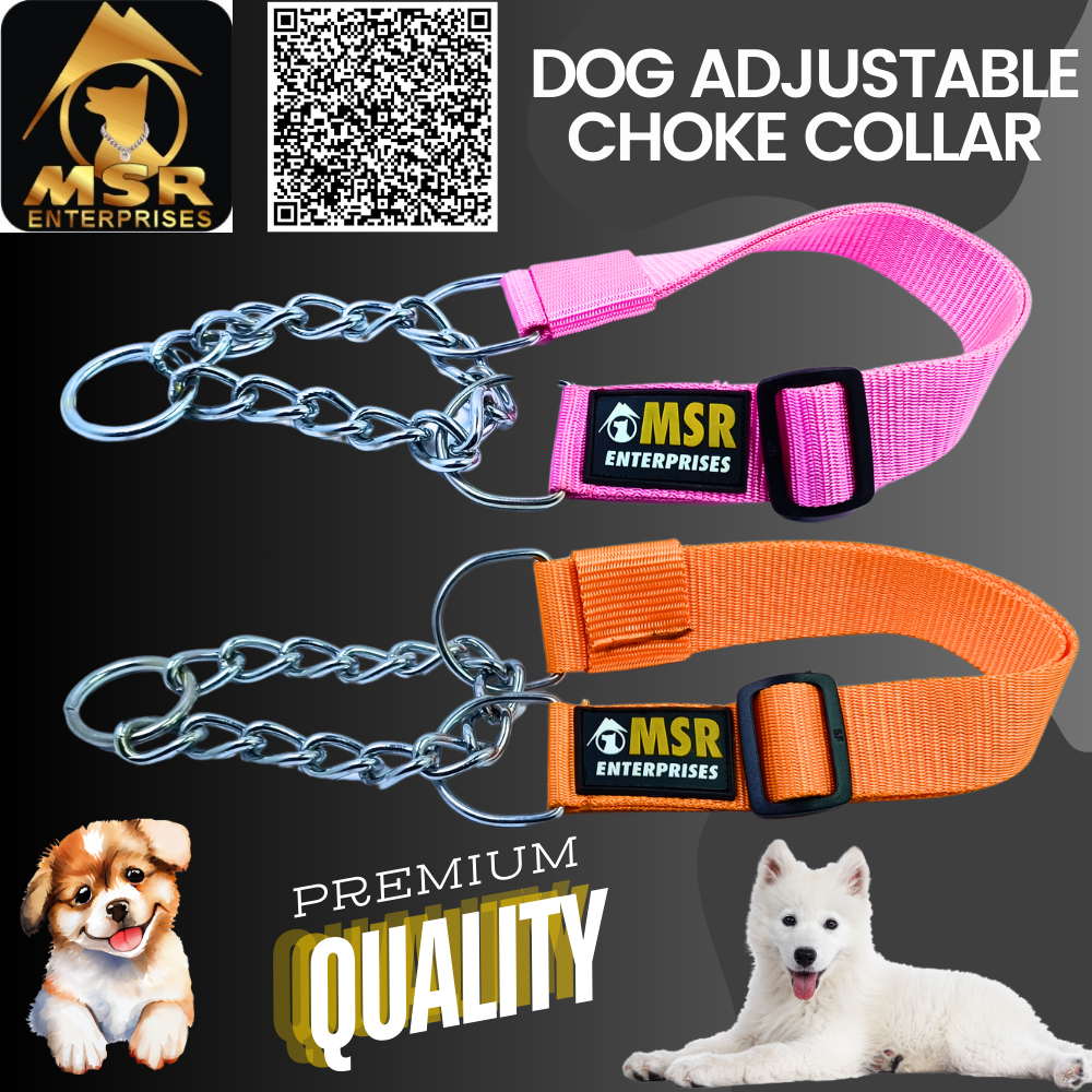 Dog Adjustable Choke Collar (PP / NYLON)