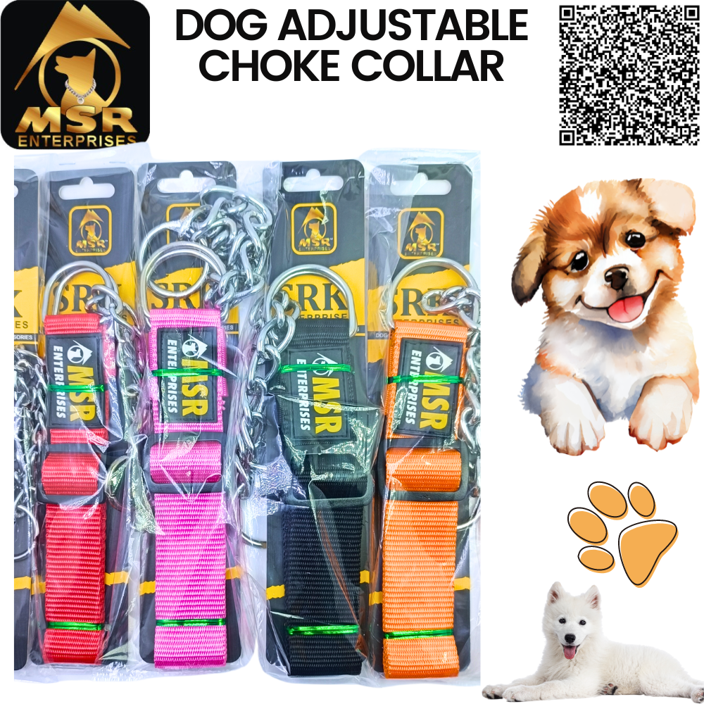 Dog Adjustable Choke Collar (PP / NYLON)