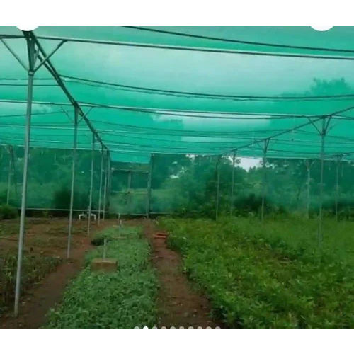 Agriculture Bird Safety Net Installation Service