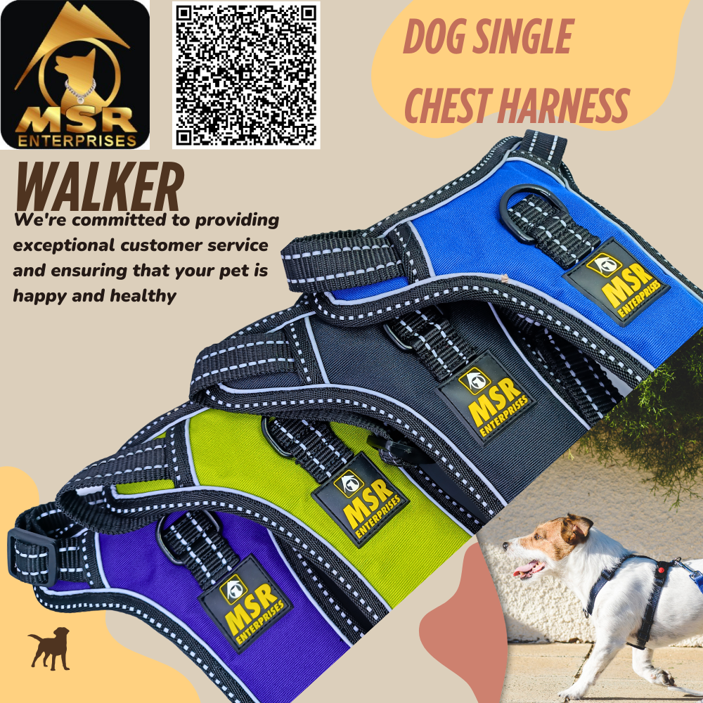 Single Layer Dog Chest Harness