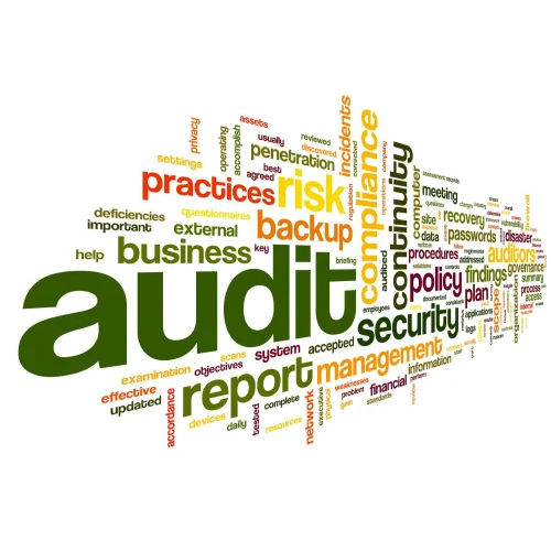 Technical Auditing Service By Development 2050