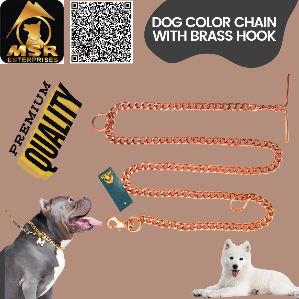 Dog Chain & Brass Hook Rose Gold