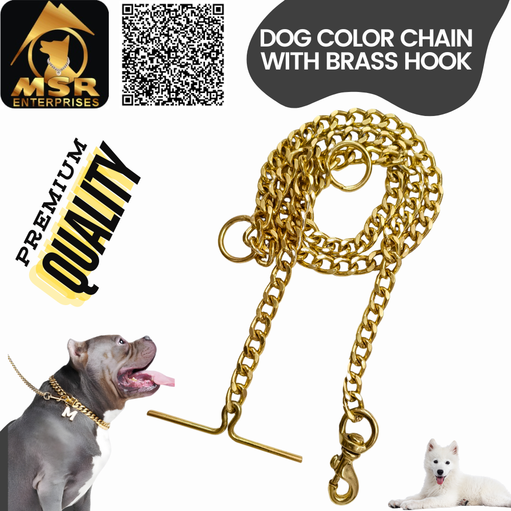 Yellow Gold Polish Grinded Twisted Iron Dog Chain With Brass Hook