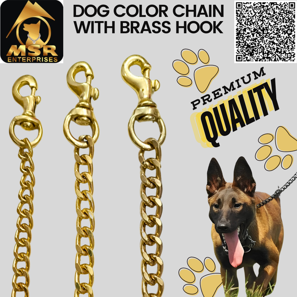 Yellow Gold Polish Grinded Twisted Iron Dog Chain With Brass Hook